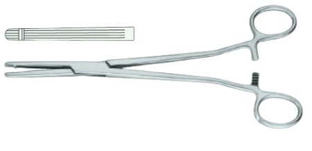 3атискач по Хіні-Валлентайн, для гiстероектомiї, прямий, 210 мм Bio Tules Impex BTS-24-225